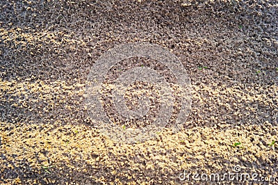 The texture of light sand. Stock Photo