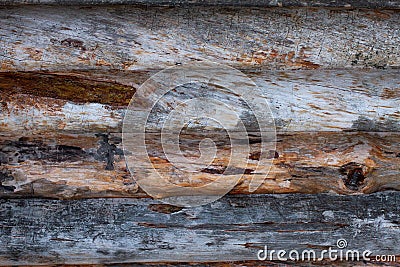 texture of logs, old wall of pine logs close-up Stock Photo