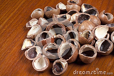 Texture of macadamia shell Stock Photo