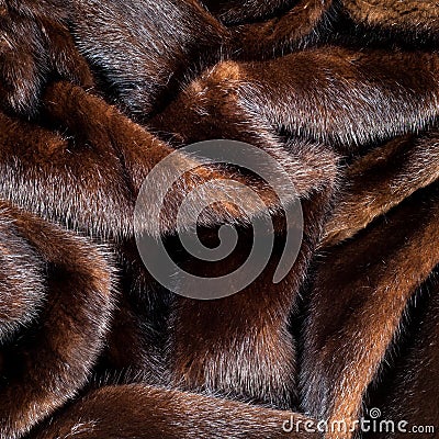 texture. Mink fur. mink coat Stock Photo