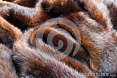 texture. Mink fur. mink coat Stock Photo