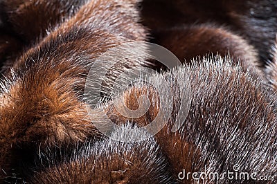 texture. Mink fur. mink coat Stock Photo