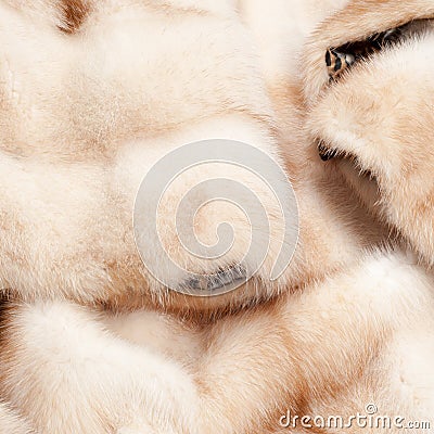 texture. Mink fur. mink coat Stock Photo