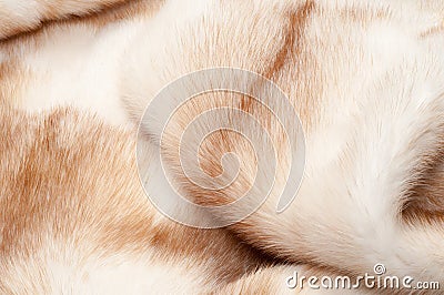 texture. Mink fur. mink coat Stock Photo