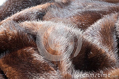 texture. Mink fur. mink coat Stock Photo