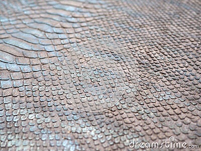 Natural reptile skin texture Stock Photo