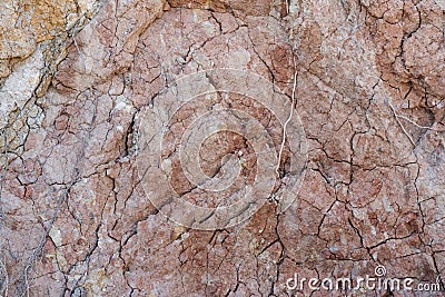 Texture of natural rock shell of rocky rock, marine life structure with limestone and traces of erosion Stock Photo