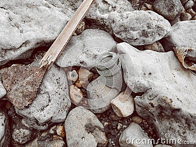 The texture of natural stone. Closeup of stones on the shore Stock Photo