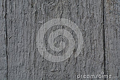 Texture of an old barn tree. Stock Photo