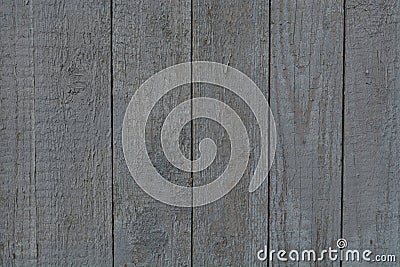 Texture of an old barn tree. Stock Photo