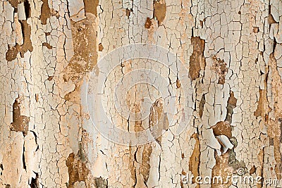 The texture of an old colored asbestos house roof in a village or an old painted fence of shiver slate Stock Photo