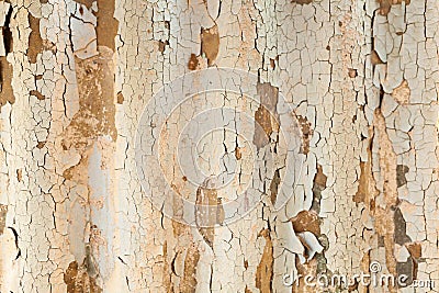 The texture of an old asbestos house roof in a village or an old painted fence of shiver slate Stock Photo