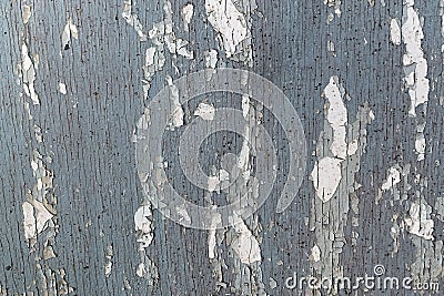 Texture of old dark grey wooden wall with cracking white paint Stock Photo