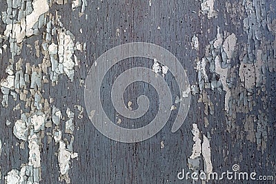 Texture of old dark grey wooden wall with cracking white paint Stock Photo