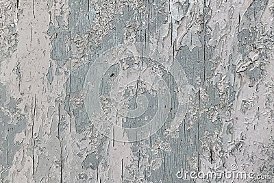 Texture of old light grey-blue wooden wall with cracking white paint Stock Photo