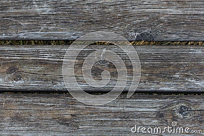 The texture of an old narrow raw wood board. Textured effect, weathered scratched gray wood with signs of aging, background Stock Photo