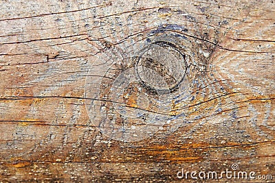 Texture old wood with bough Stock Photo