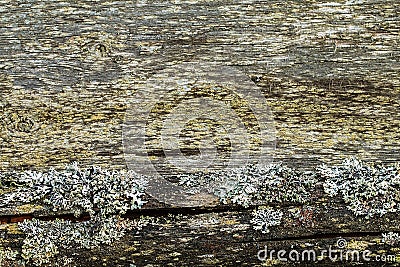 The texture of old wooden planks. Stock Photo