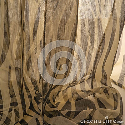 Texture pattern background collection, silk fabric, African Style zebra skin For designer, model, interior, imitation, fashion Stock Photo
