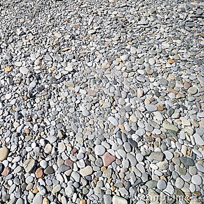 texture of pebbles Stock Photo