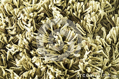 Texture pile. Closeup of white carpet. Macro Stock Photo