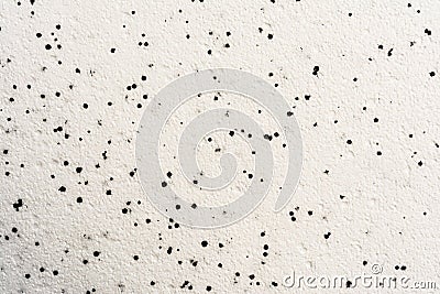 Texture polyester foam consisting of white and black balls Stock Photo