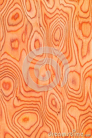 Texture of root wood, natural tree background Stock Photo