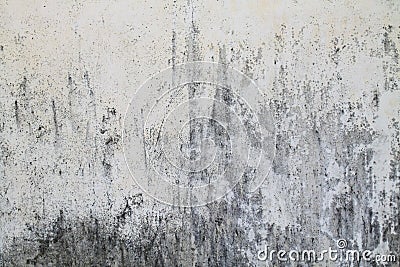 Texture of rough concrete wall Stock Photo