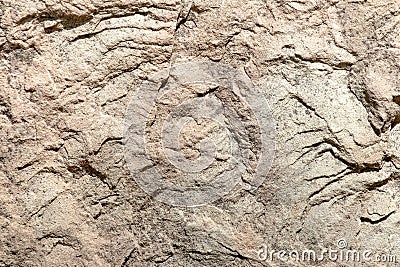 The texture of the sandstone stone with grains and irregularities in bright sunlight, interesting for geologists Stock Photo