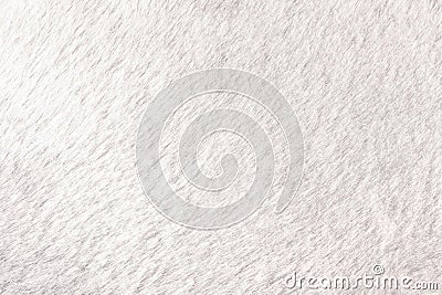 Texture of shaggy fur background. Detail of soft hairy skin material Stock Photo