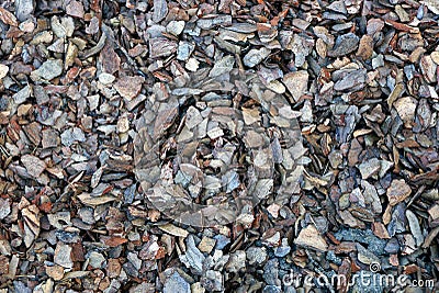 The texture of small pieces of brown bark Stock Photo