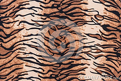 Texture of tiger pelt and fur Stock Photo