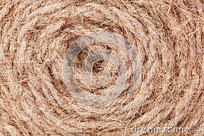 Texture twisted rope Stock Photo