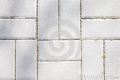 Background, texture of paving slabs. Stock Photo