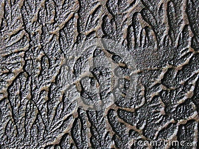 texture wall decorative stucco high Stock Photo