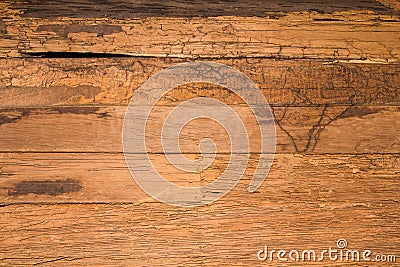 Texture wall wood termites Stock Photo