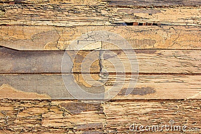 Texture wall wood termites Stock Photo