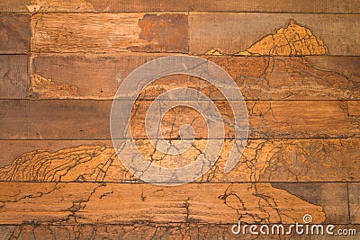 Texture wall wood termites Stock Photo