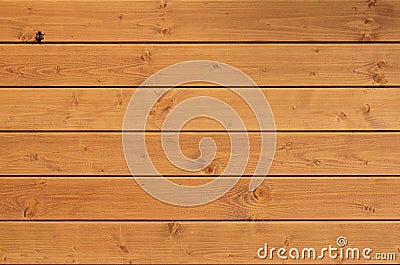 The texture of weathered wooden wall. Aged wooden plank fence of horizontal flat boards with small bee sitting on the Stock Photo