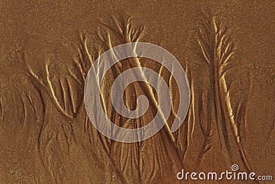 Texture of wet sea sand with patterns of water Stock Photo