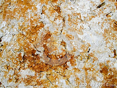 Stone texture on rock near seashore Stock Photo