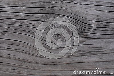 Texture of wood background Stock Photo