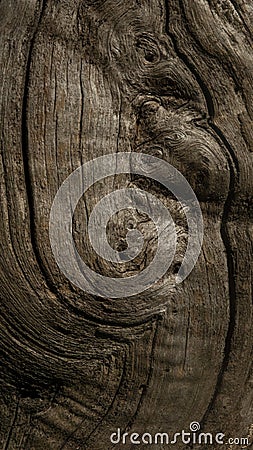 texture wood with natural pattern Stock Photo