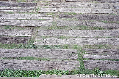 Texture of wood plate floor outdoor. Stock Photo