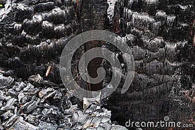 The texture of a wooden beam after a fire Stock Photo