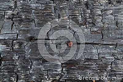 The texture of a wooden beam after a fire Stock Photo