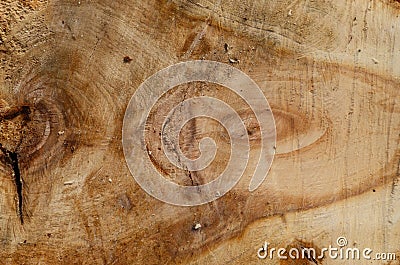 The texture of the wooden board, with a clear cut pattern Stock Photo