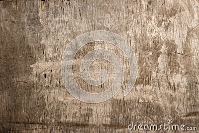 Texture of a wooden surface Stock Photo