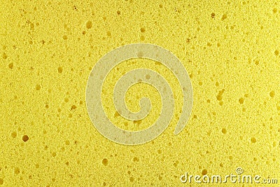 Texture yellow sponge Stock Photo