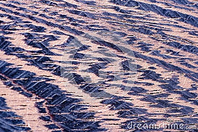 The texture of the Zebrano tree shot on a macro lens Stock Photo